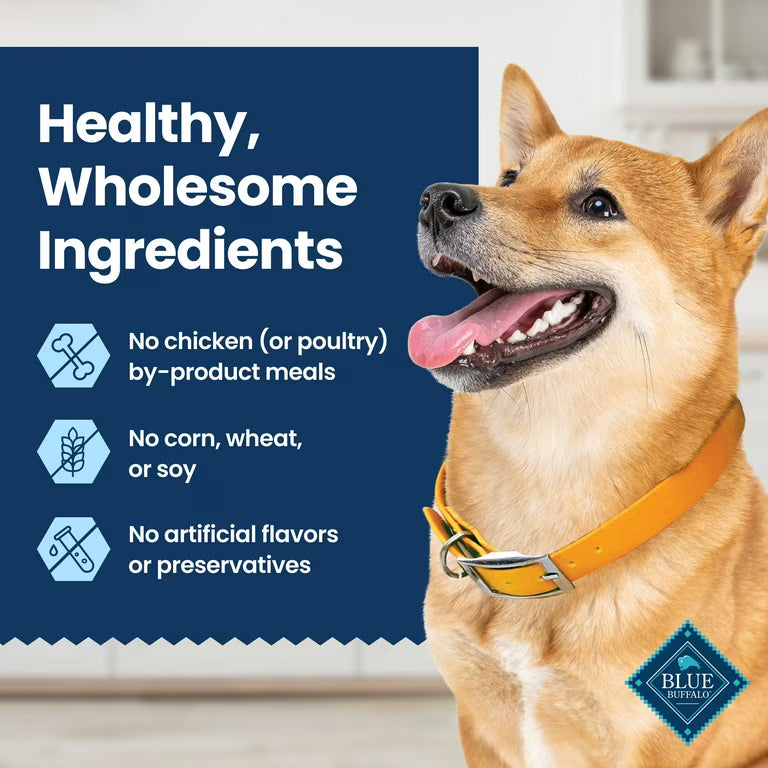Blue Buffalo Dental Chews Large Dog Treats – Chicken & Spearmint, 28 Count